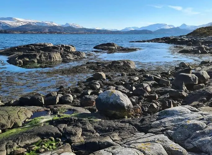 Koselig Hus Med Hage I Heroy Pa Sunnmore. * Royra